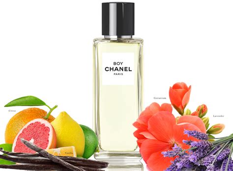 boy chanel cologne|chanel boy fragrance.